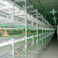 High Quality Chicken Cage Poultry Equipment for Broiler